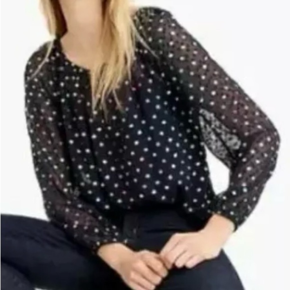 J. Crew Popover Sheer Blouse (S)